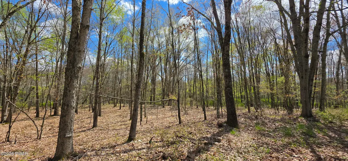 Lot 17.14 Skipperene Road, Cochecton, NY 12726 - #1