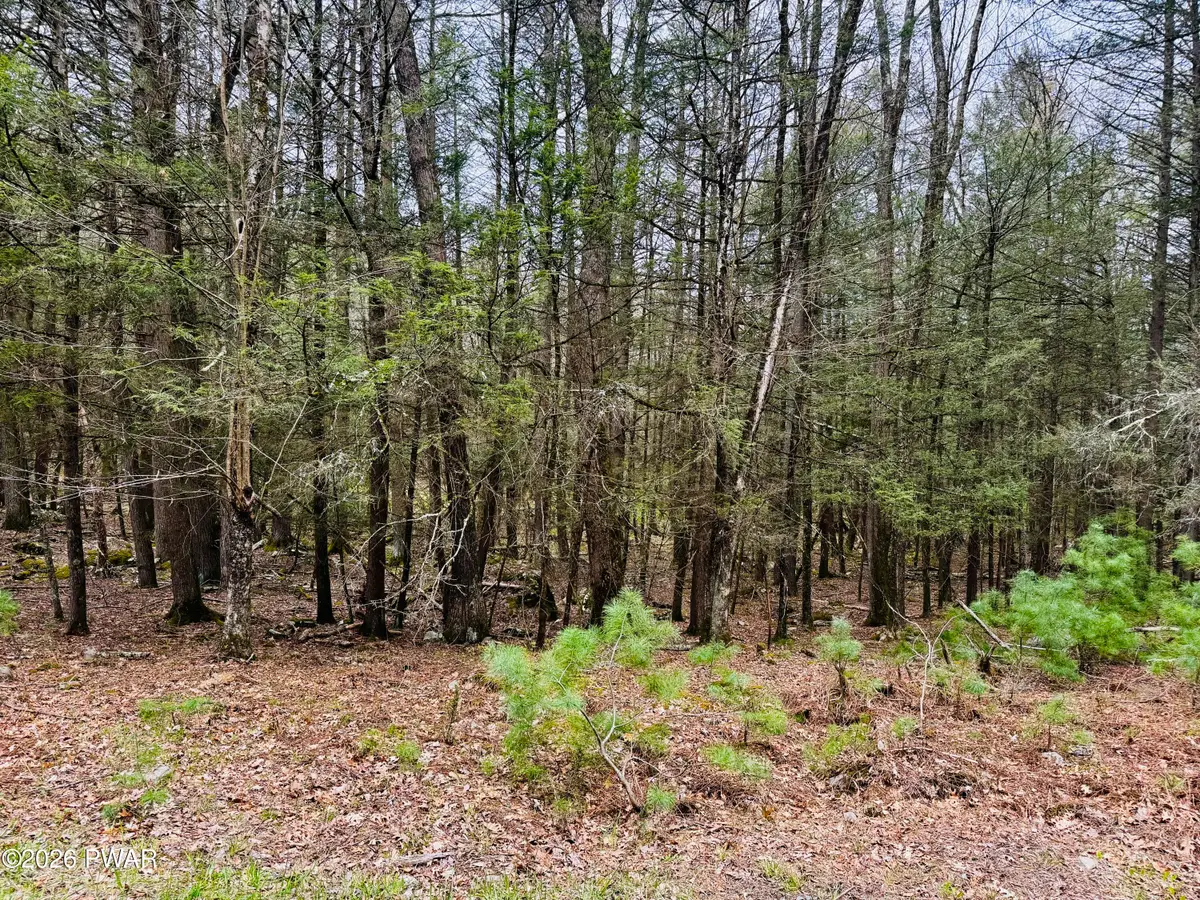 Happy Hollow Drive, Shohola, PA 18458 - #1