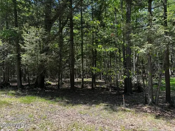 Lot 826 Fawn Rd And Lot 824 Pine Creek Road, Hawley, PA 18428