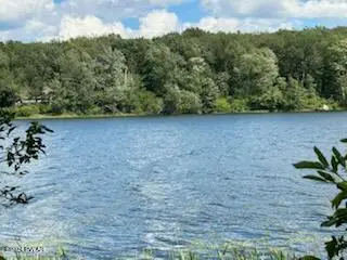 Lot R-C3 Spruce Lake Road, Thompson, PA 18465 - #1