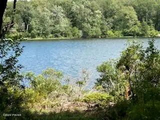 Lot R-C3 Spruce Lake Road, Thompson, PA 18465 - #3