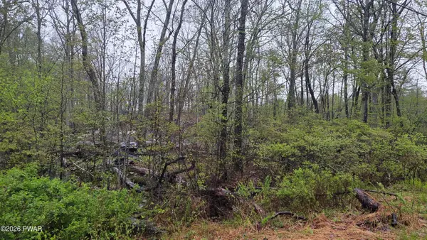 Lot 1 White Birch Drive, Hawley, PA 18428