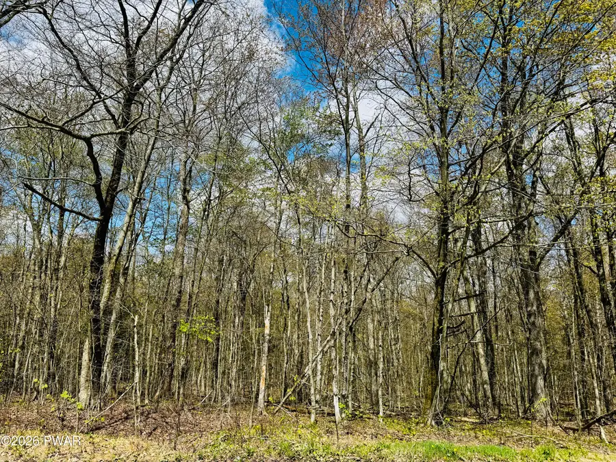 Pleasant Mount Drive, Forest City, PA 18421 - #2