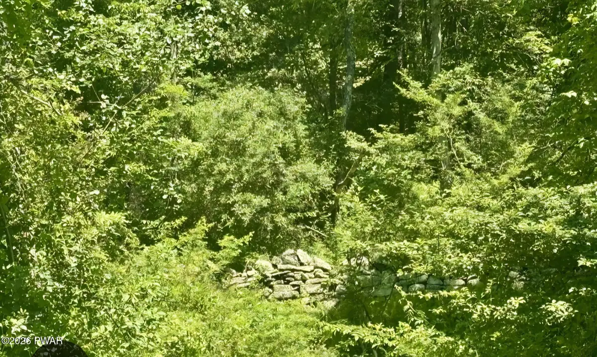 Lot 1 Owego Turnpike, Hawley, PA 18428 - #1