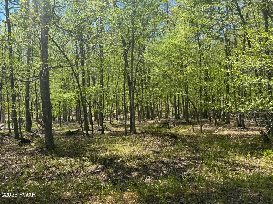 Lot # 184 Cottonwood Drive, Hawley, PA 18428 - #2