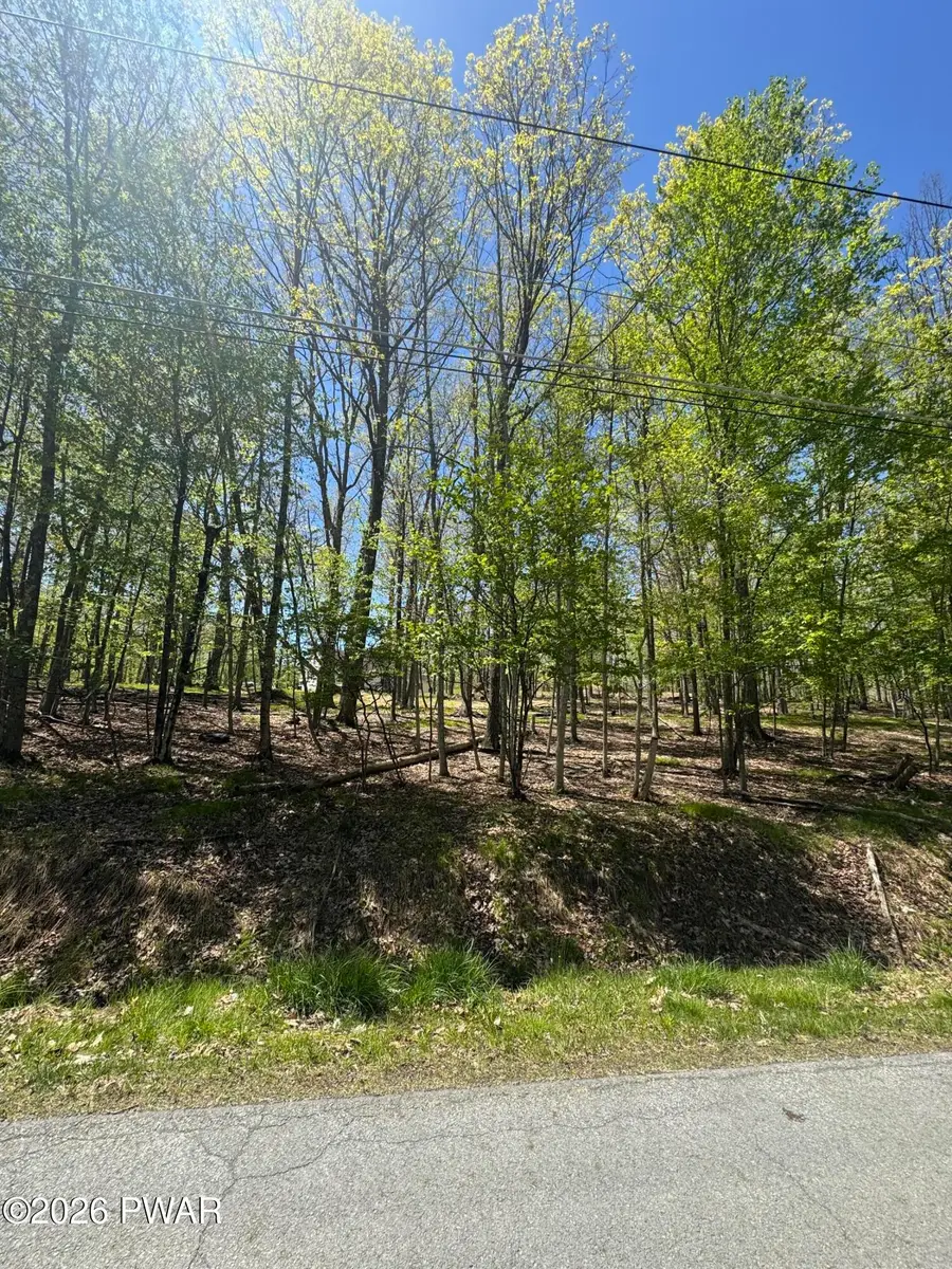 Lot # 90 Forest Ridge Drive, Hawley, PA 18428 - #2