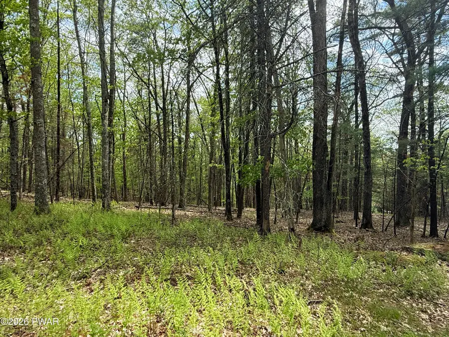 Lot 447 Eastwood Circle, Lackawaxen, PA 18428 - #2
