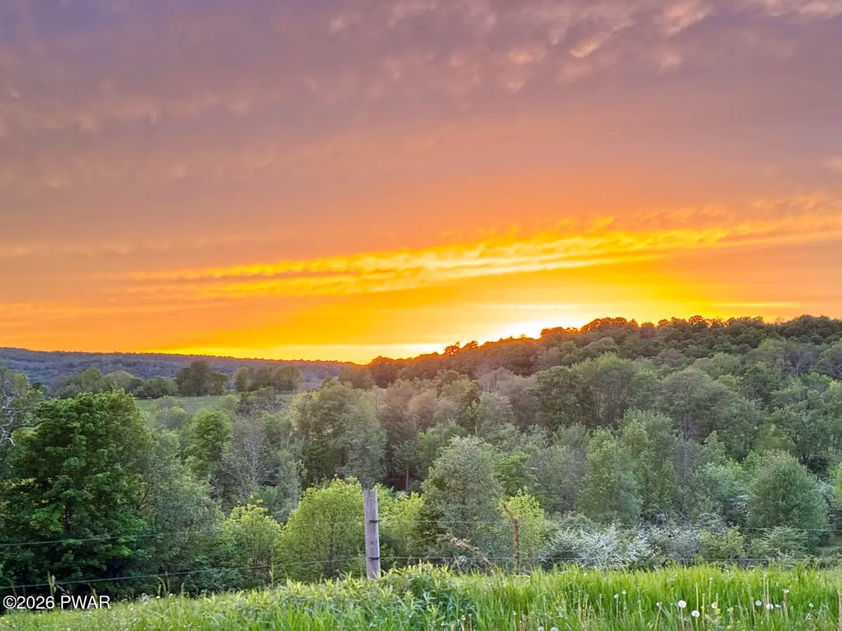 0 Wescott Road, Tyler Hill, PA 18469 - #1