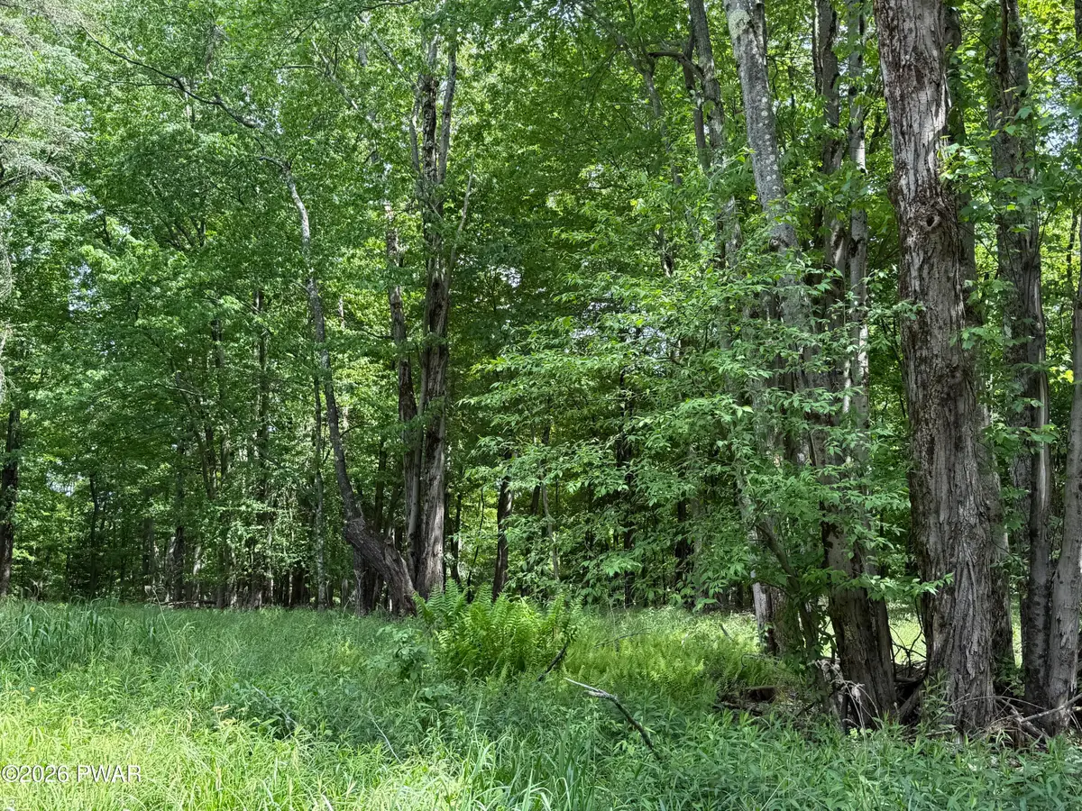 Dixon Valley Road, Pleasant Mount, PA 18453 - #1