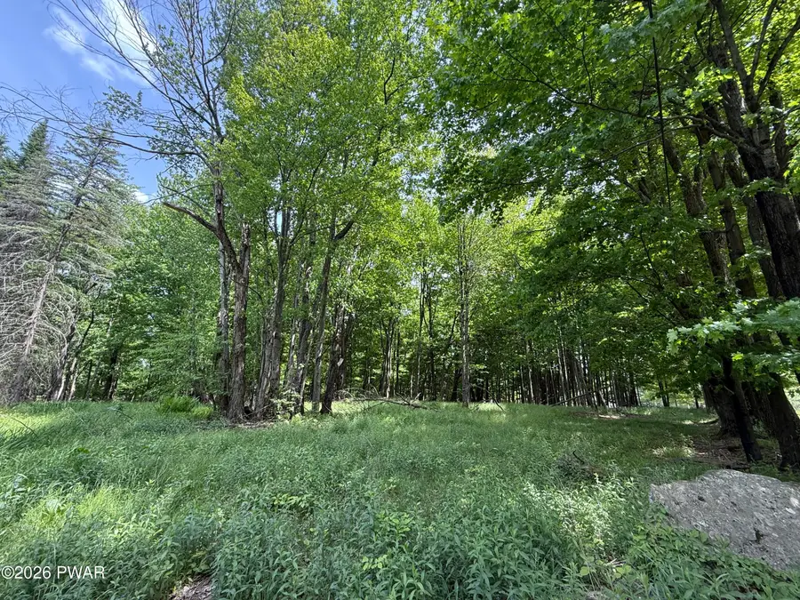Dixon Valley Road, Pleasant Mount, PA 18453 - #2