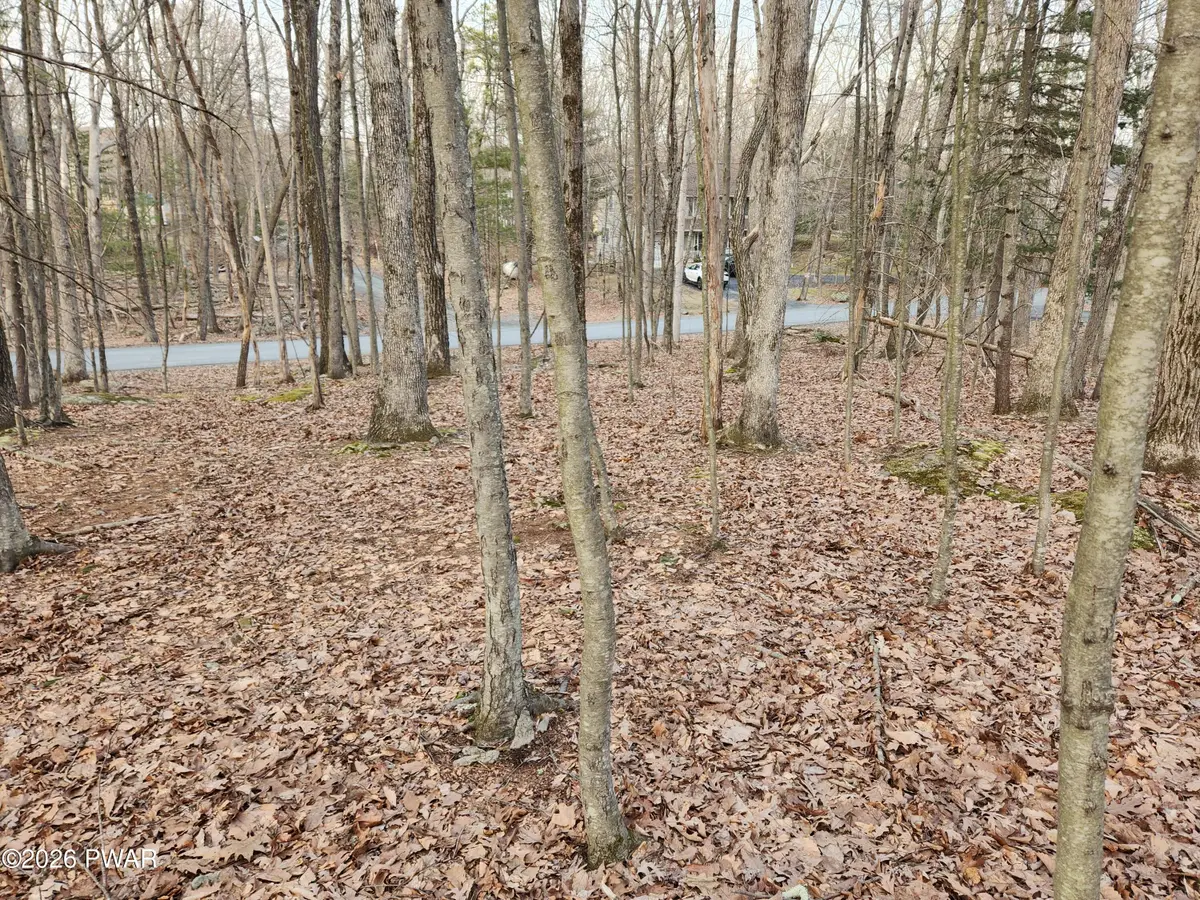 155 Buck Run Drive, Milford, PA 18337 - #1