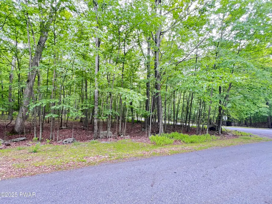 105 Duffys Drive, Dingmans Ferry, PA 18328 - #3