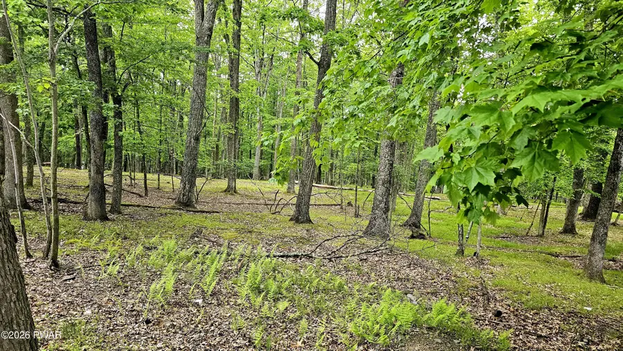 Lot 34 Westcolang Road, Hawley, PA 18428 - #3