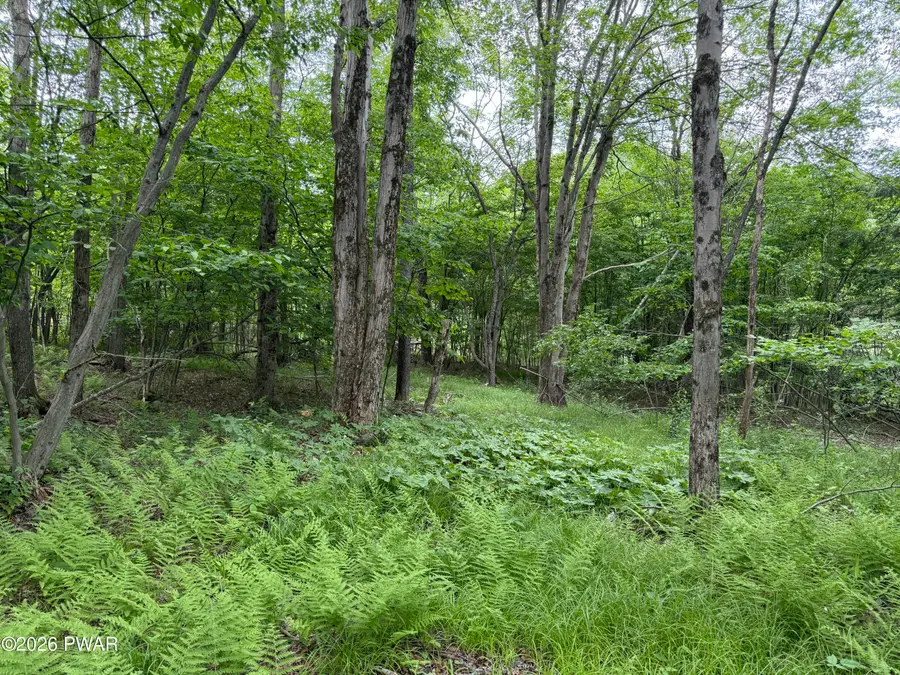 Beaver Hollow Road, Lakewood, PA 18439 - #2
