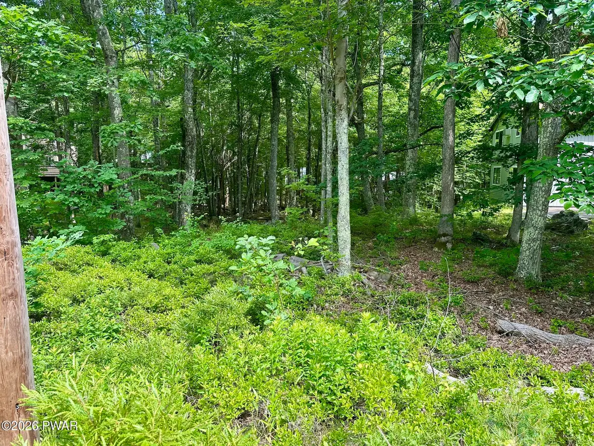 210 Maple Ridge Drive, Hawley, PA 18428 - #1