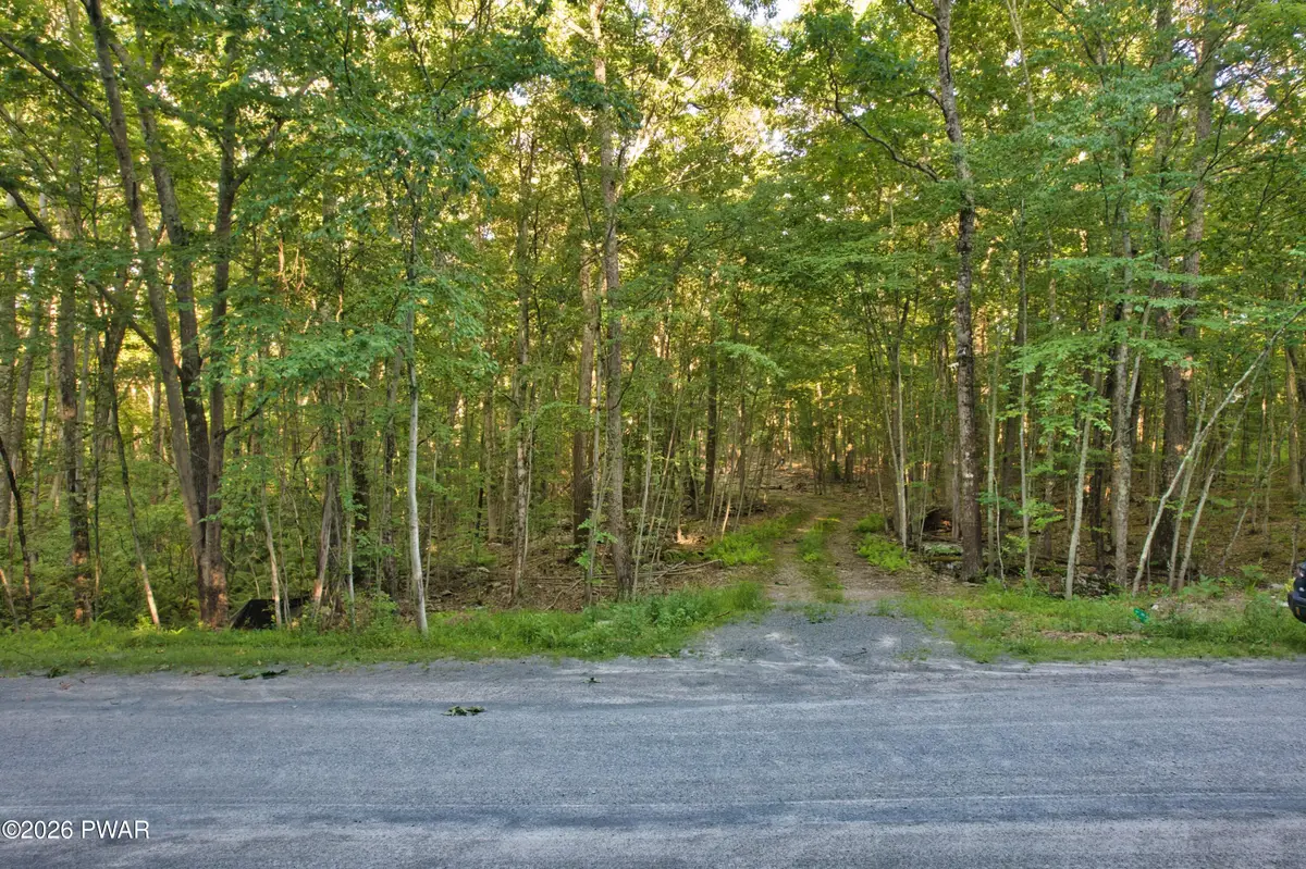 102 White Birch Drive, Hawley, PA 18428 - #1