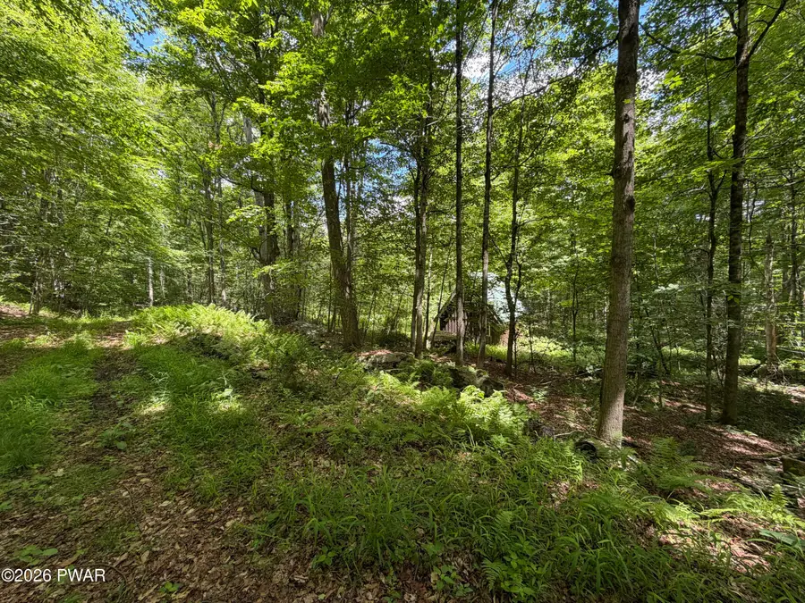 78 Lakeview Drive, Honesdale, PA 18431 - #3