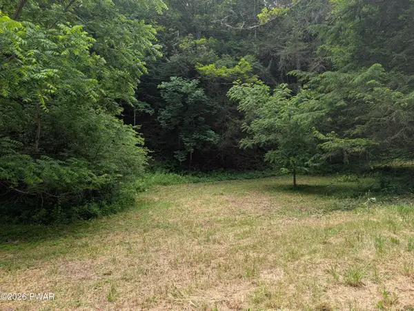 103 Hopkins, Tyler Hill, PA 18469
