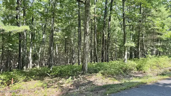 Lot 45 Soose Way, Tafton, PA 18464
