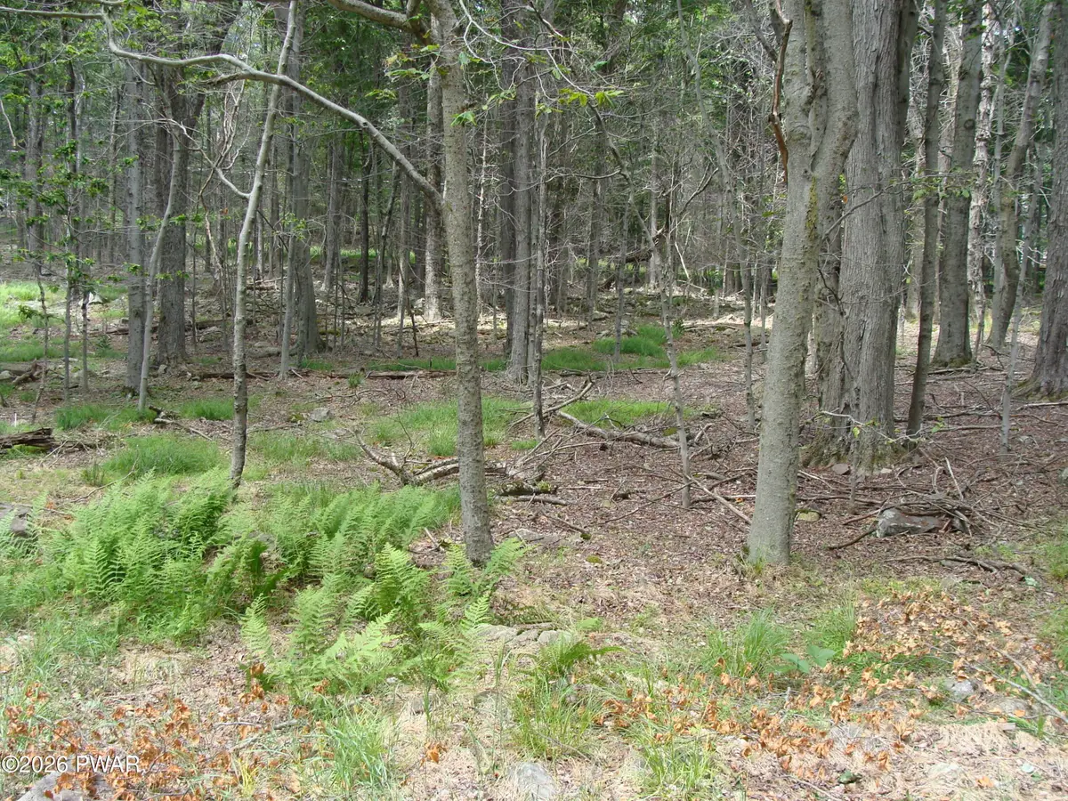 Pocono Drive, Gouldsboro, PA 18424 - #1