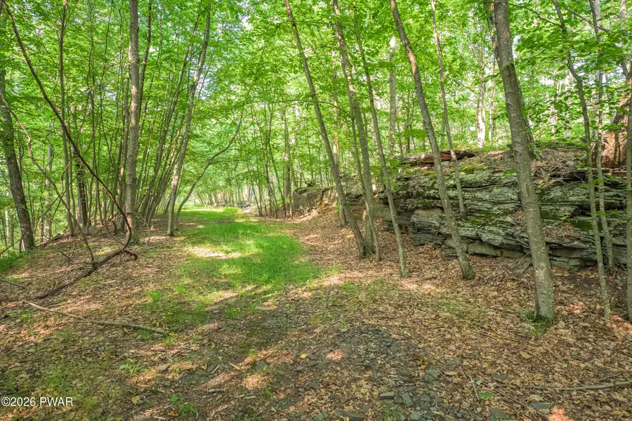 High Ridge Ct, Dingmans Ferry, PA 18328 - #3