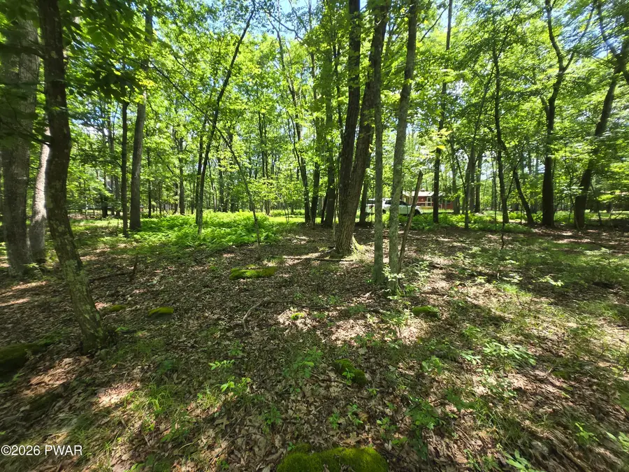 Lot 17 Woodledge Hills Drive, Hawley, PA 18428 - #2