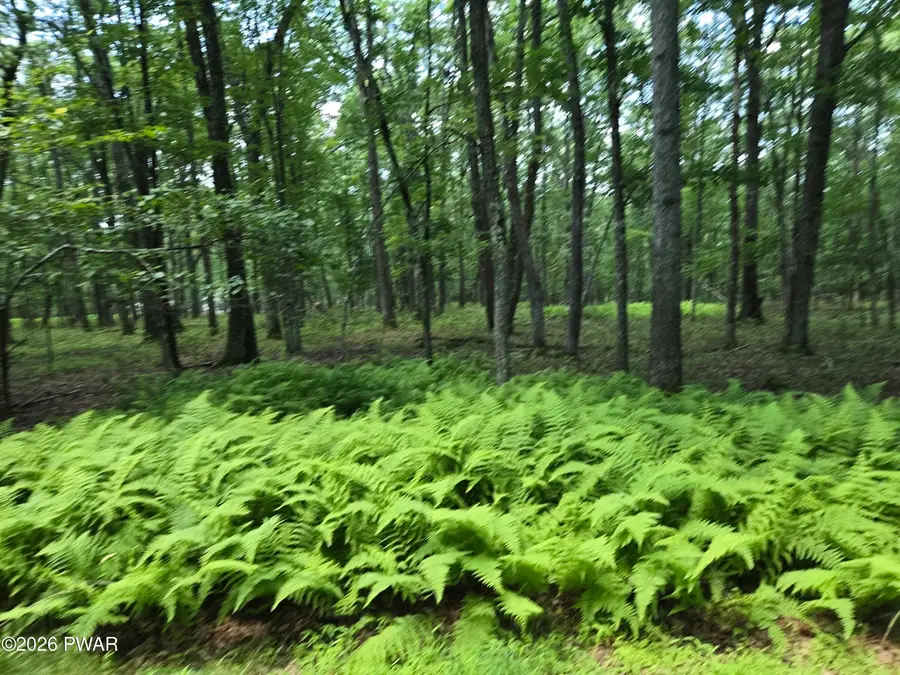 Lot 17 Woodledge Hills Drive, Hawley, PA 18428 - #3