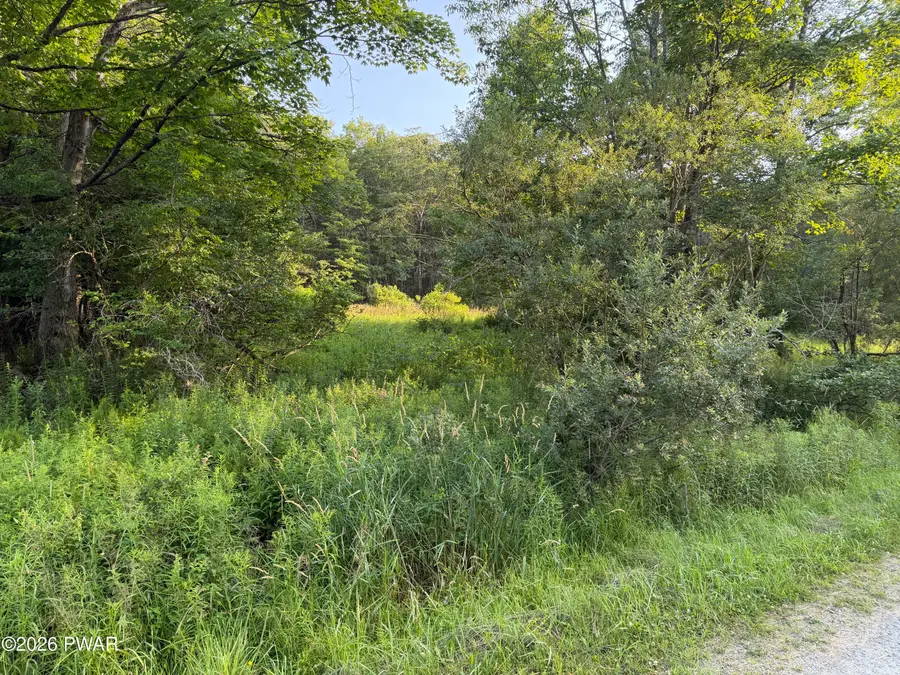 Lot 30 Timber Ridge Drive, Newfoundland, PA 18445 - #2