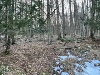 105 Clubhouse Drive, Greentown, PA 18426 - #3