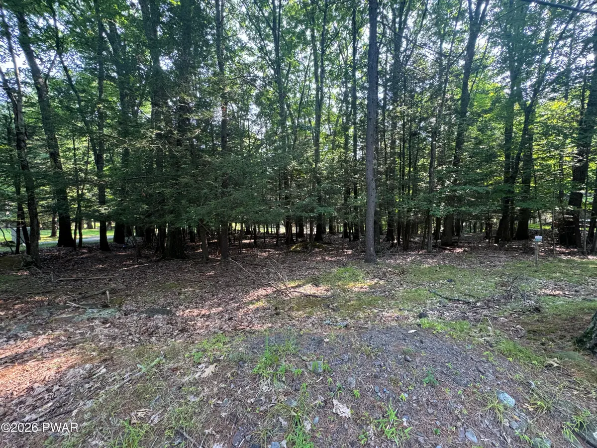 Lakeshore Drive, Lakeville, PA 18438 - #1