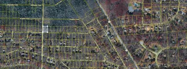 Lot DP1325 Cochise Trail & Minisink Trail, Albrightsville, PA 18210
