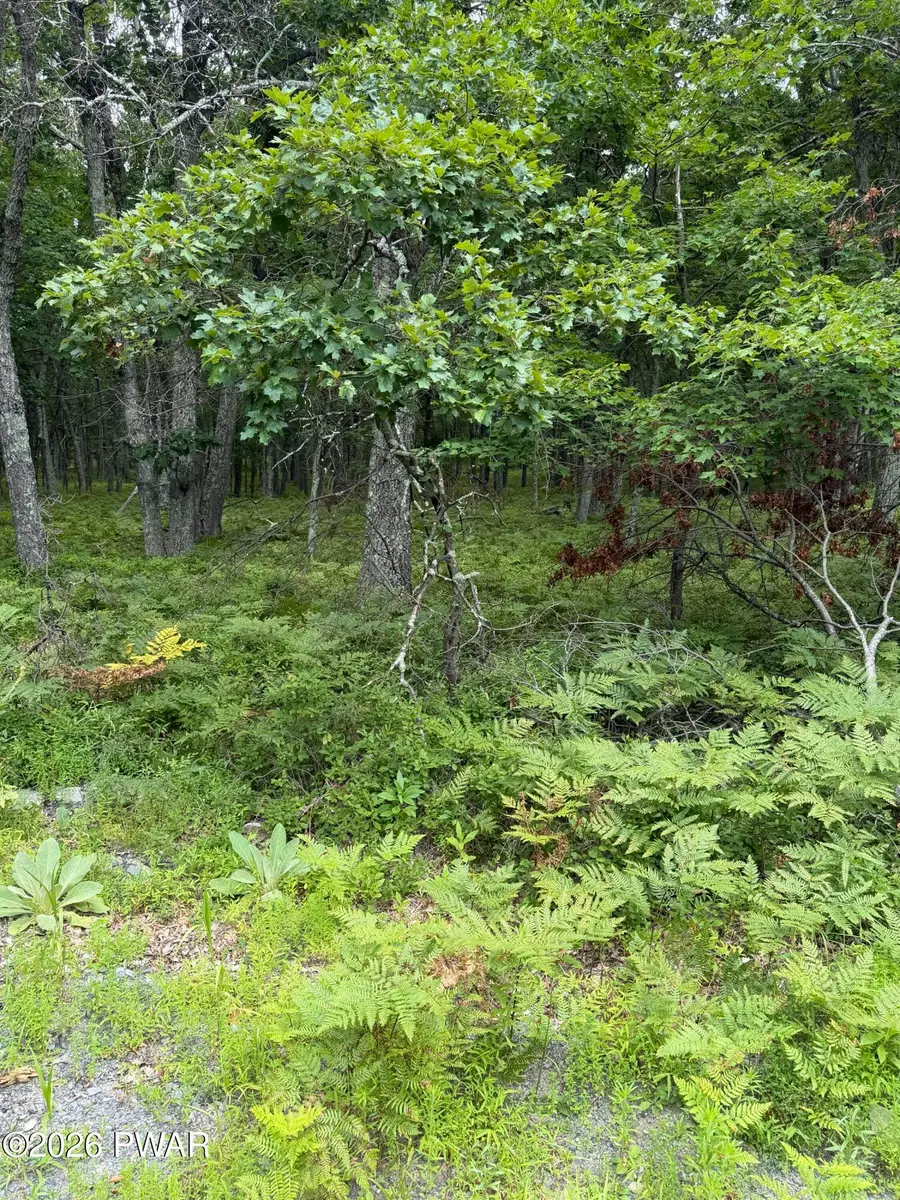 Lot 28 Snowshoe Court, Bushkill, PA 18324 - #3