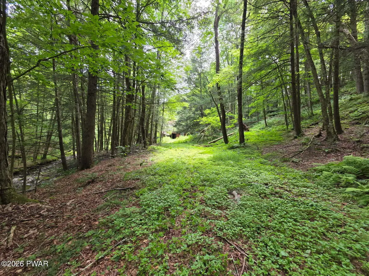 570 Pleasant Valley Road, Starrucca, PA 18462 - #1