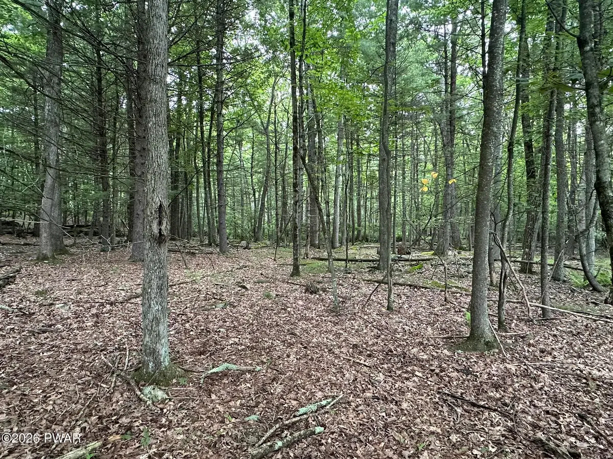Lot 11 Holiday Drive, Hawley, PA 18428 - #1