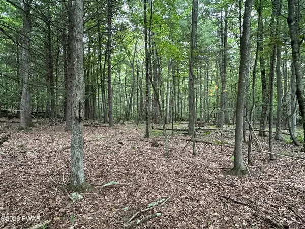 Lot 11 Holiday Drive, Hawley, PA 18428