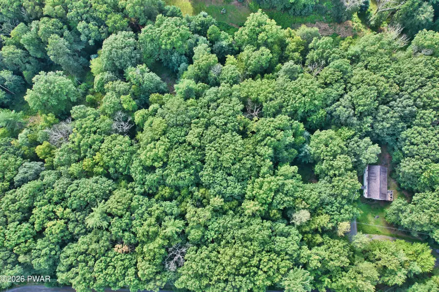 Violet Lane, Dingmans Ferry, PA 18328 - #2