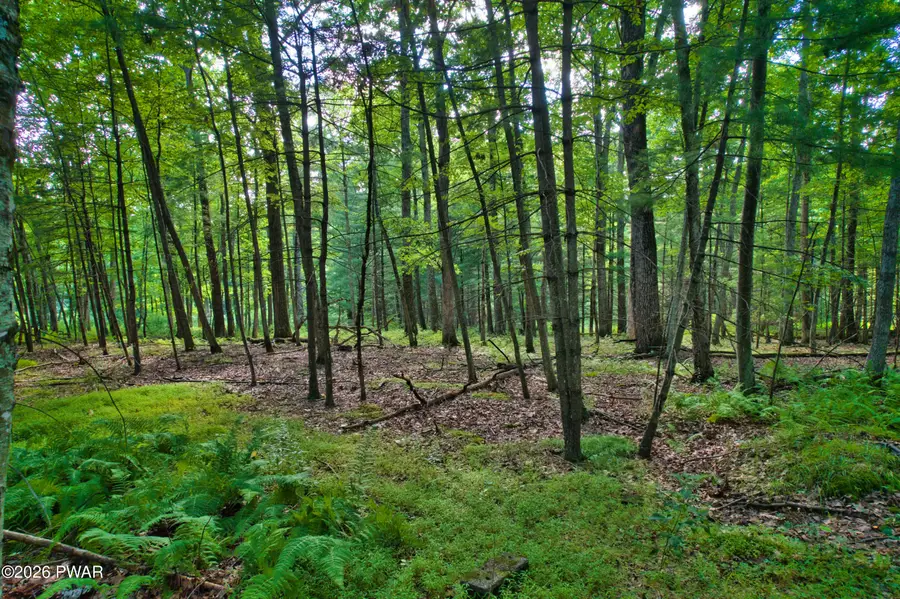 Violet Lane, Dingmans Ferry, PA 18328 - #3