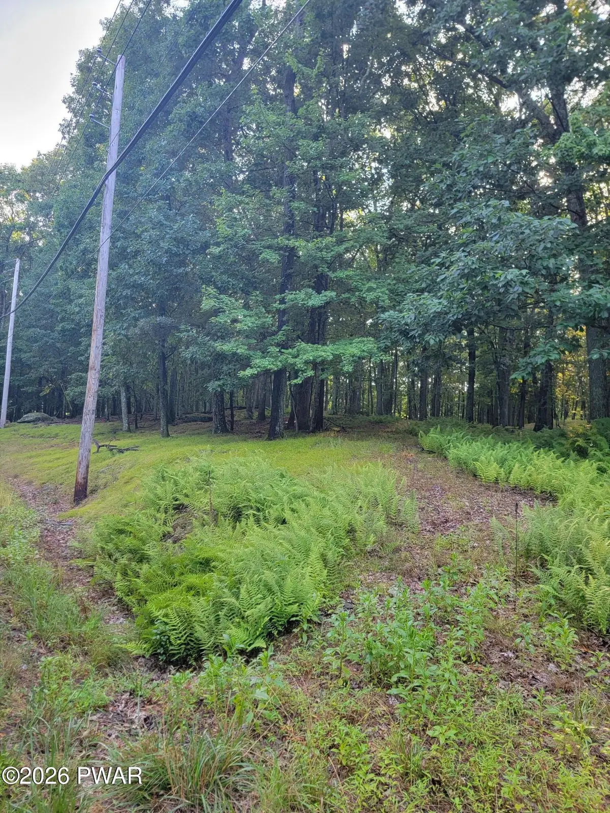 Westcolang Road, Hawley, PA 18428 - #1
