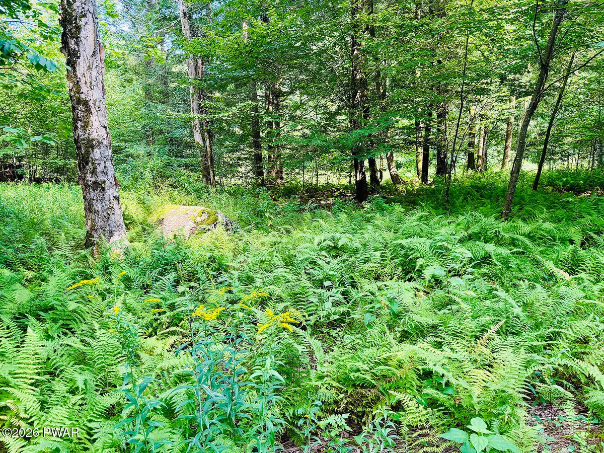 0 Callicoon Road, Damascus, PA 18415 - #1
