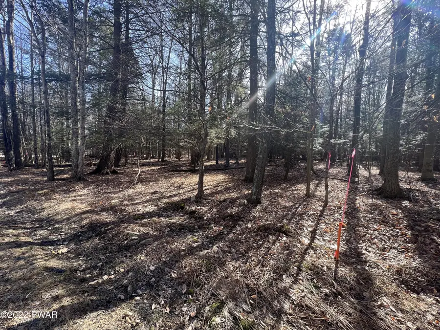 209 & 210 Polaris Way, Lake Ariel, PA 18436 - #2