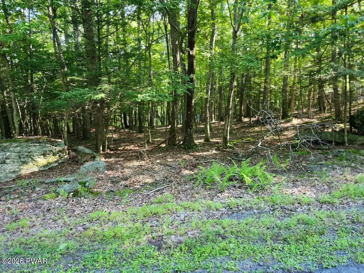 Squaw Valley Lane, Tafton, PA 18464 - #1