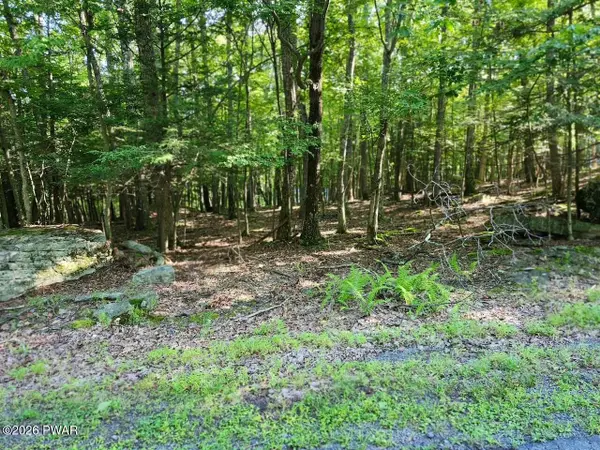 Squaw Valley Lane, Tafton, PA 18464