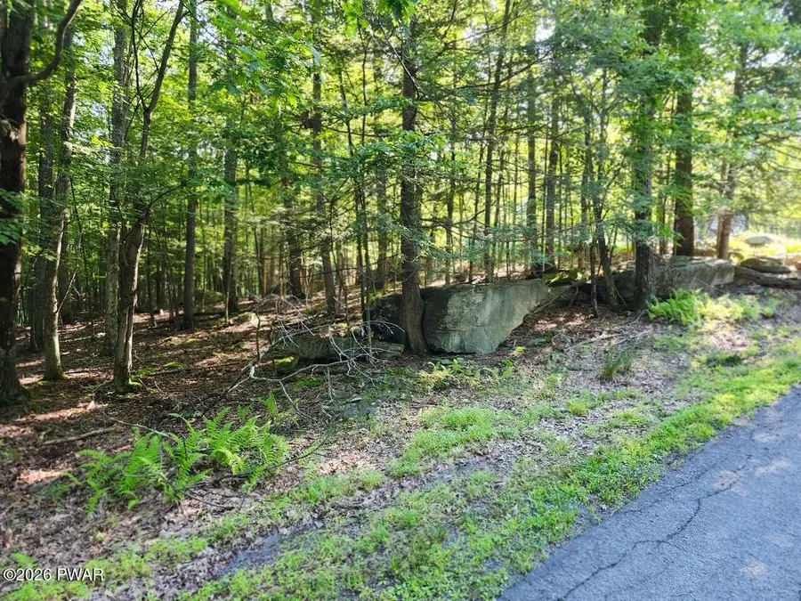 Squaw Valley Lane, Tafton, PA 18464 - #2