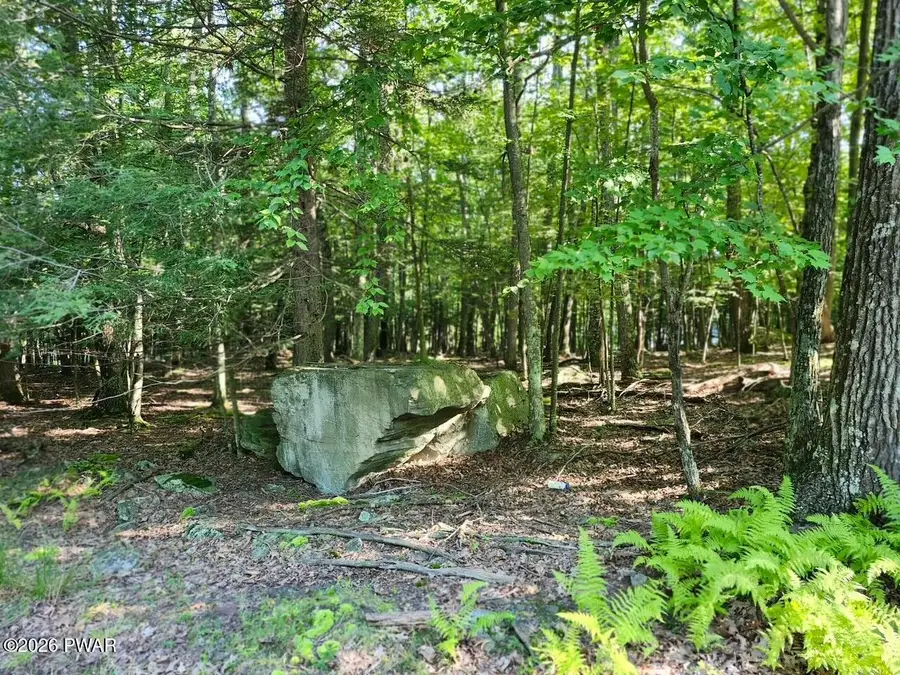 Squaw Valley Lane, Tafton, PA 18464 - #3