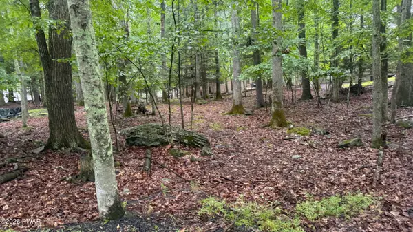 Lot 183 Forest Drive, Lakeville, PA 18438