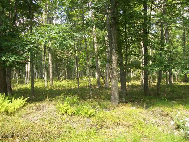 LOT 178A Majestic Court, East Stroudsburg, PA 18302 - #1