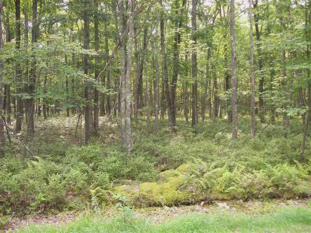 LOT 178A Majestic Court, East Stroudsburg, PA 18302 - #2
