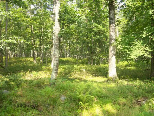 LOT 178A Majestic Court, East Stroudsburg, PA 18302 - #3