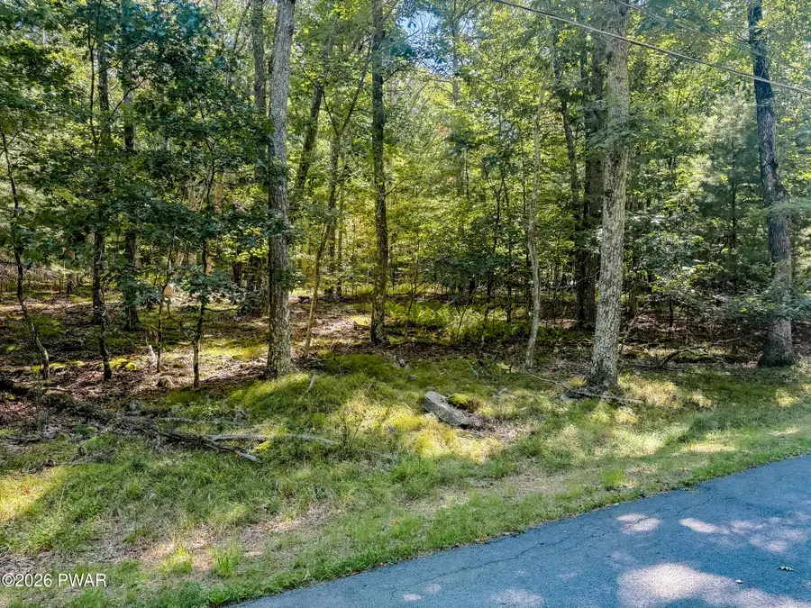 Lots 3 & 4 Woodledge Hills Dr., Hawley, PA 18428 - #2
