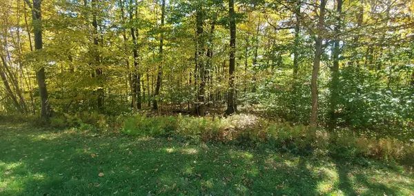 28 Bridle Way, Equinunk, PA 18417